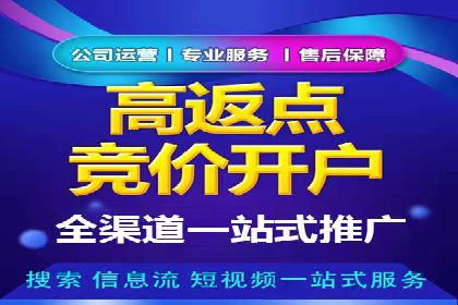 SEM广告投放优化案例研究
